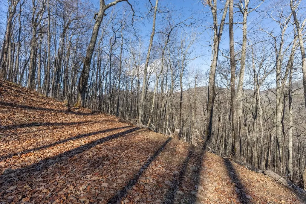 Trct 3 Buck Creek Road Highlands NC 28741