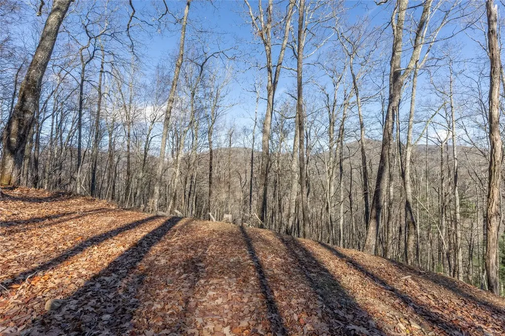 Trct 3 Buck Creek Road Highlands NC 28741