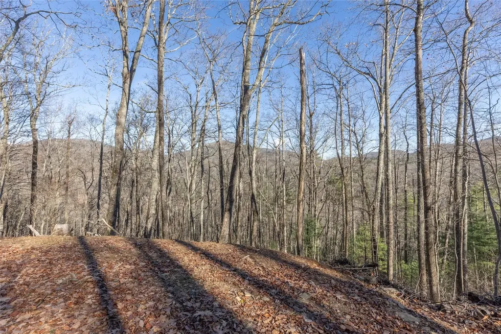 Trct 3 Buck Creek Road Highlands NC 28741