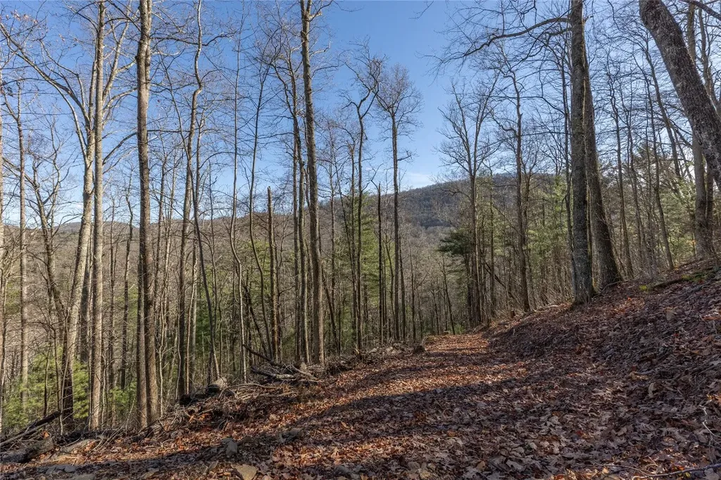 Trct 3 Buck Creek Road Highlands NC 28741