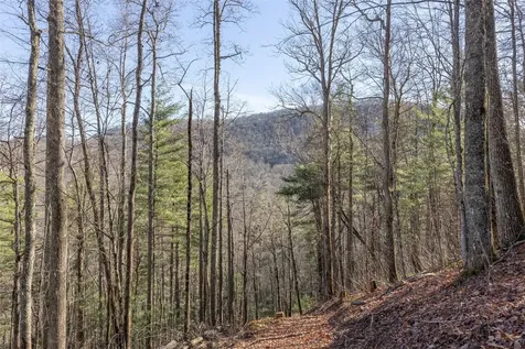 Trct 3 Buck Creek Road Highlands NC 28741