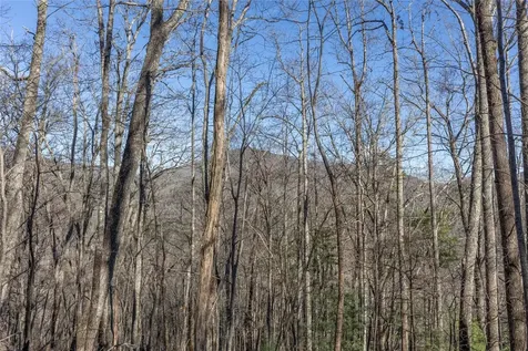 Trct 3 Buck Creek Road Highlands NC 28741