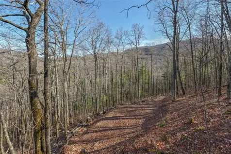 Trct 3 Buck Creek Road Highlands NC 28741