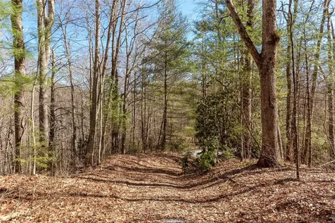 Trct 3 Buck Creek Road Highlands NC 28741