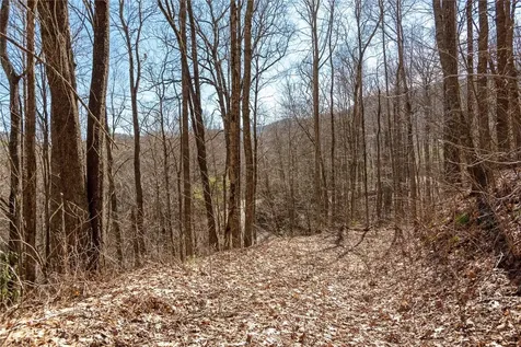 Trct 3 Buck Creek Road Highlands NC 28741