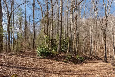 Trct 3 Buck Creek Road Highlands NC 28741