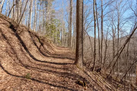 Trct 3 Buck Creek Road Highlands NC 28741