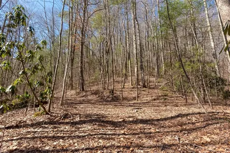 Trct 3 Buck Creek Road Highlands NC 28741