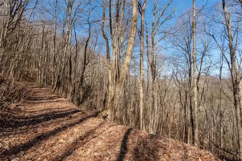 Trct 3 Buck Creek Road Highlands NC 28741