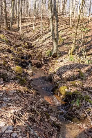 Trct 3 Buck Creek Road Highlands NC 28741