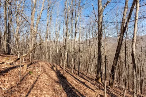 Trct 3 Buck Creek Road Highlands NC 28741