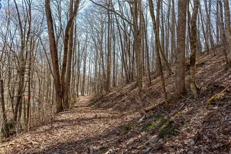 Trct 3 Buck Creek Road Highlands NC 28741