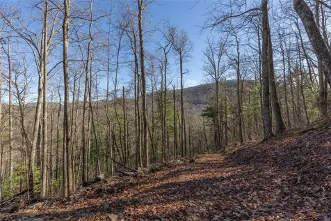 Trct 3 Buck Creek Road Highlands NC 28741