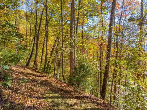 325 Garden Flats Franklin NC 28734