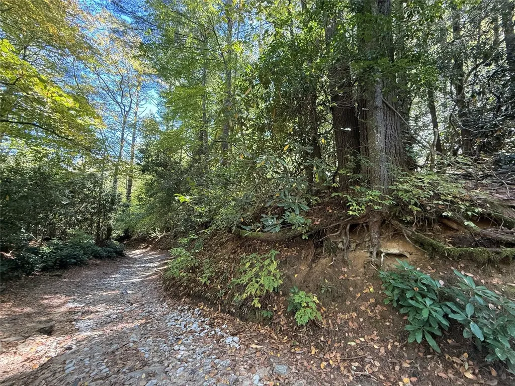 Lot Bc Blindside Lane Cashiers NC 28717