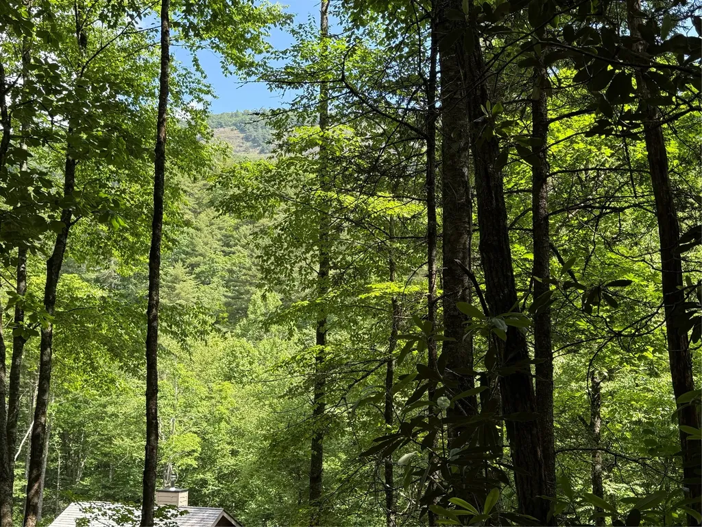 Lot Bc Blindside Lane Cashiers NC 28717