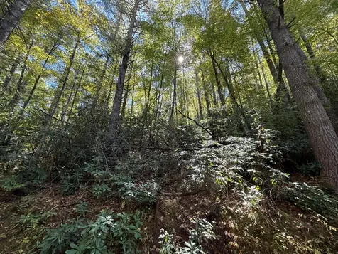 Lot Bc Blindside Lane Cashiers NC 28717