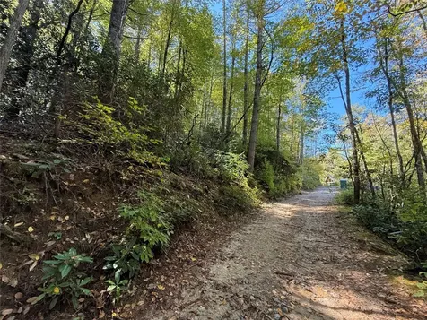 Lot Bc Blindside Lane Cashiers NC 28717