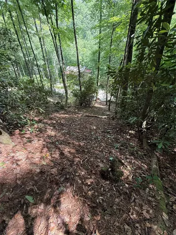Lot Bc Blindside Lane Cashiers NC 28717