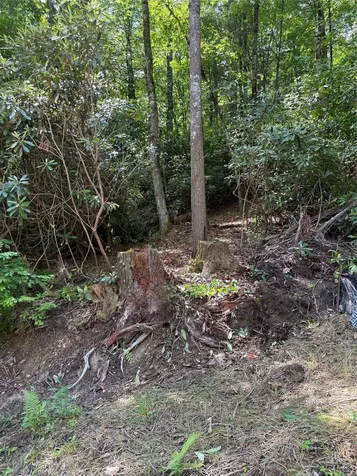 Lot Bc Blindside Lane Cashiers NC 28717