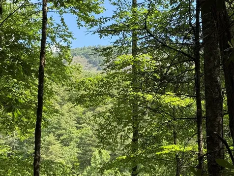 Lot Bc Blindside Lane Cashiers NC 28717