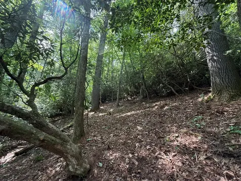 Lot Bc Blindside Lane Cashiers NC 28717