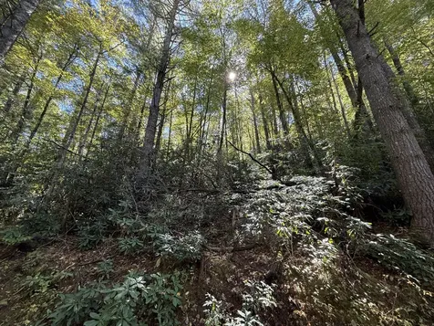 Lot Bc Blindside Lane Cashiers NC 28717