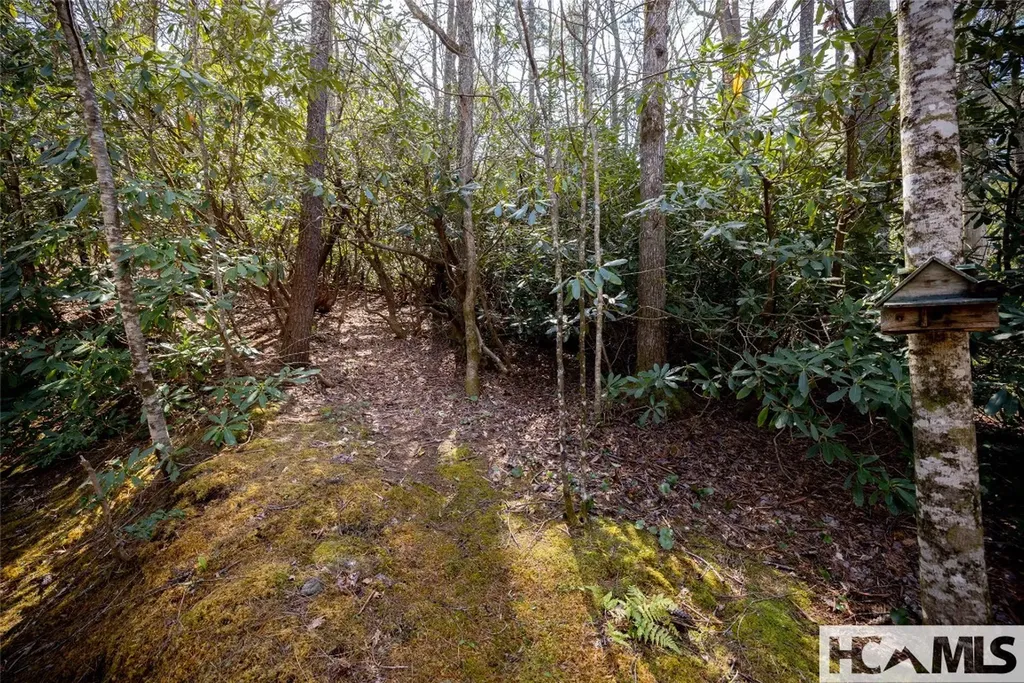 1524 Mccall Road Cashiers NC 28717