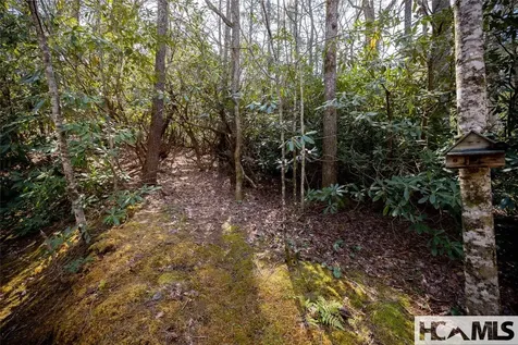 1524 Mccall Road Cashiers NC 28717