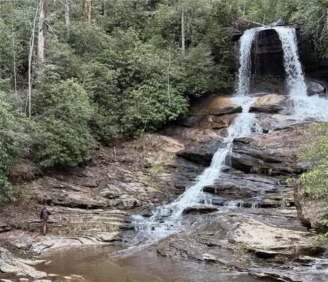 1524 Mccall Road Cashiers NC 28717