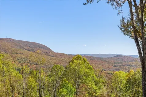 363 Eagle Ridge Road Sapphire NC 28774