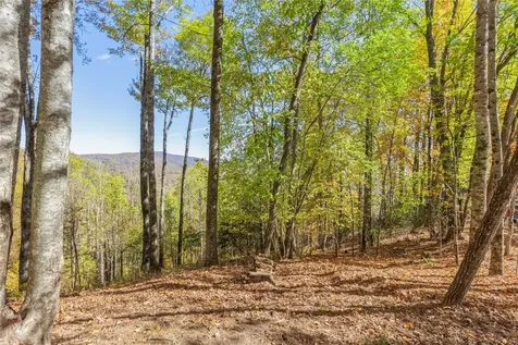 363 Eagle Ridge Road Sapphire NC 28774