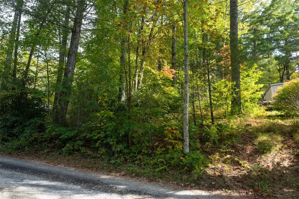 Lot B Edward Fowler Road Cashiers NC 28717