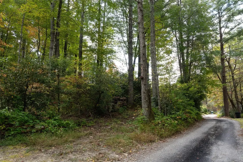 Lot B Edward Fowler Road Cashiers NC 28717