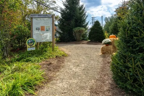 Lot B Edward Fowler Road Cashiers NC 28717