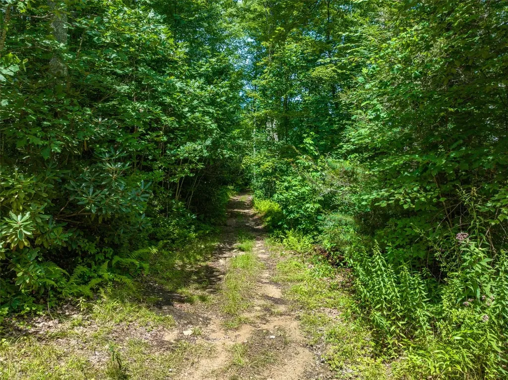 13-15 Tall Cedars Glenville NC 28736