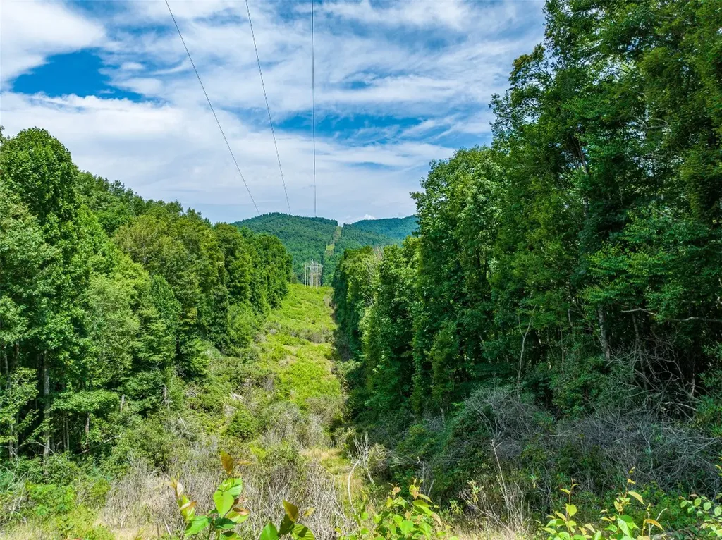 13-15 Tall Cedars Glenville NC 28736