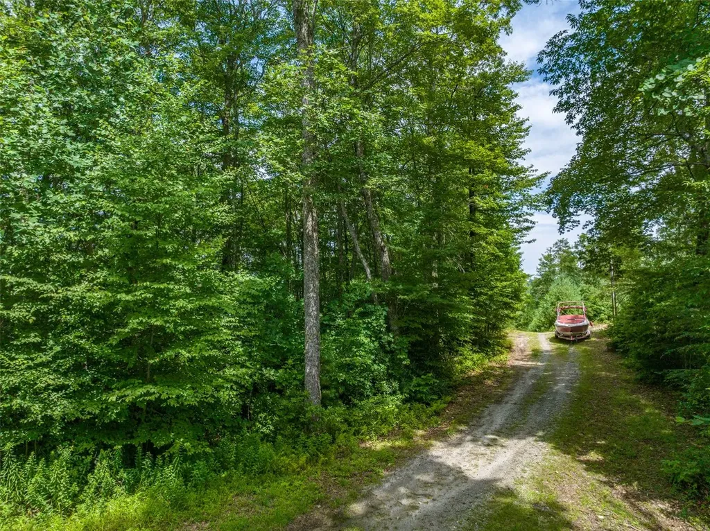 13-15 Tall Cedars Glenville NC 28736