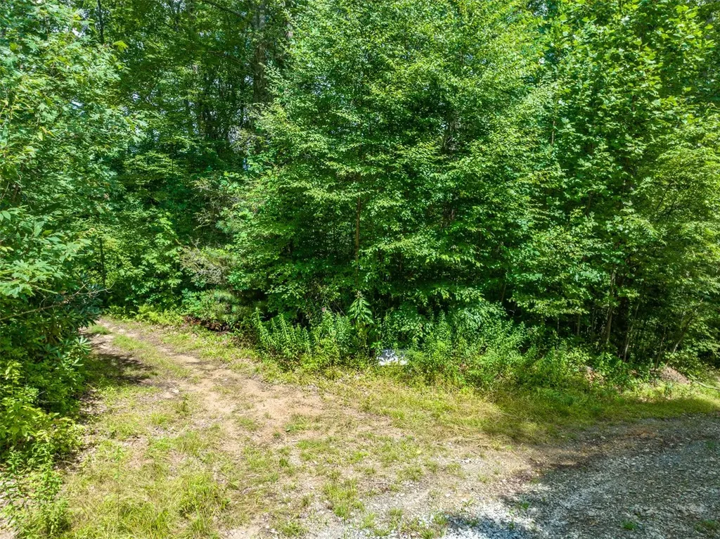 13-15 Tall Cedars Glenville NC 28736