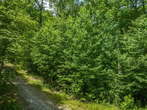 13-15 Tall Cedars Glenville NC 28736