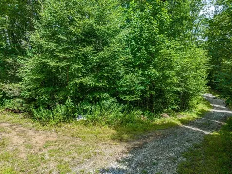 13-15 Tall Cedars Glenville NC 28736