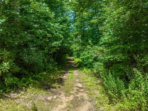 13-15 Tall Cedars Glenville NC 28736