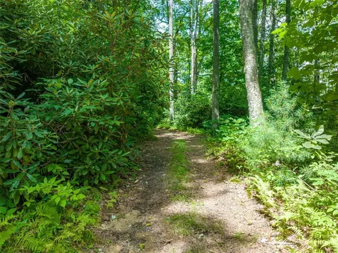 13-15 Tall Cedars Glenville NC 28736