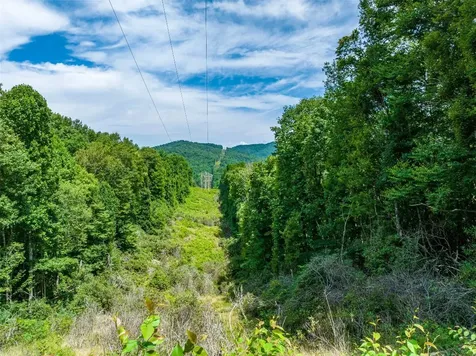 13-15 Tall Cedars Glenville NC 28736