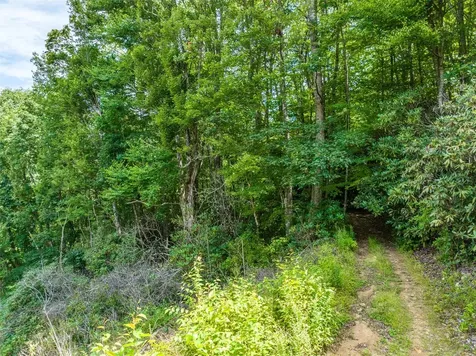 13-15 Tall Cedars Glenville NC 28736