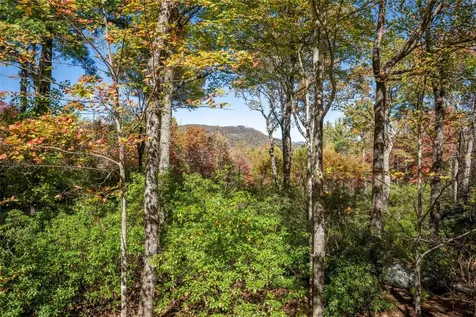 242 Club Colony Lane Lake Toxaway NC 28747