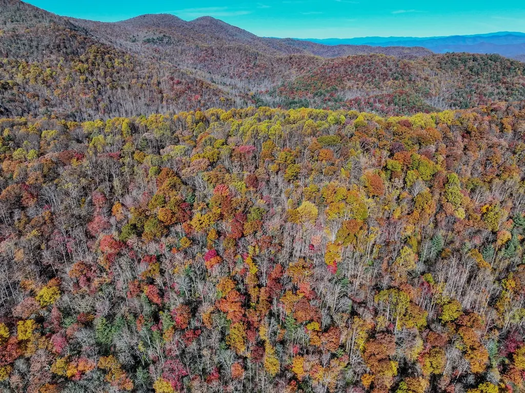 2626 Dendy Orchard Road Highlands NC 28741