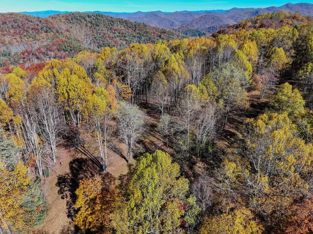 2626 Dendy Orchard Road Highlands NC 28741