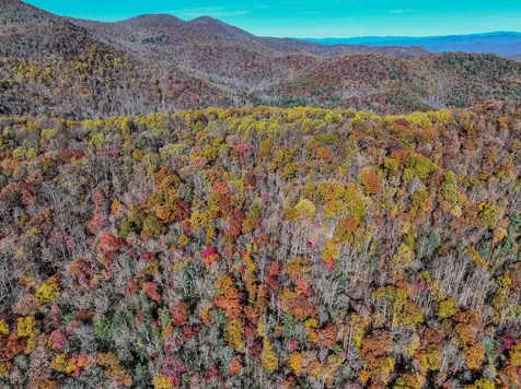 2626 Dendy Orchard Road Highlands NC 28741