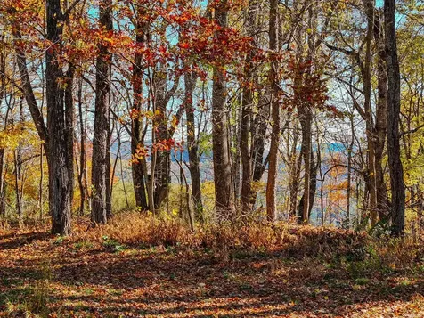 2626 Dendy Orchard Road Highlands NC 28741